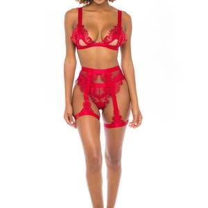 NEW OH LA LA CHERI janet eyelash lace 3 piece bra set in red